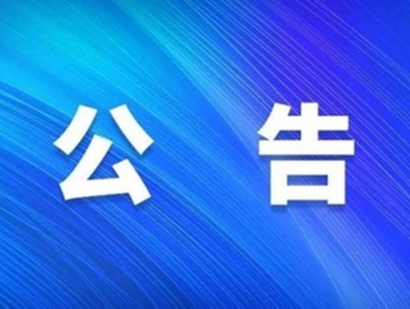 招標代理機構(gòu)遴選結(jié)果公告